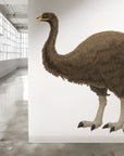 Moa wall decal