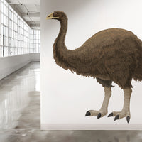 Moa wall decal