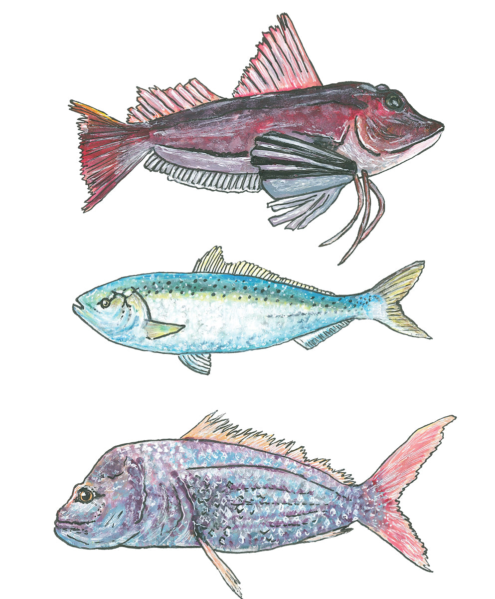 NZ Native Fish
