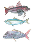 NZ Native Fish
