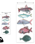 NZ Native Fish