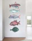 NZ Native Fish
