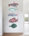 NZ Native Fish