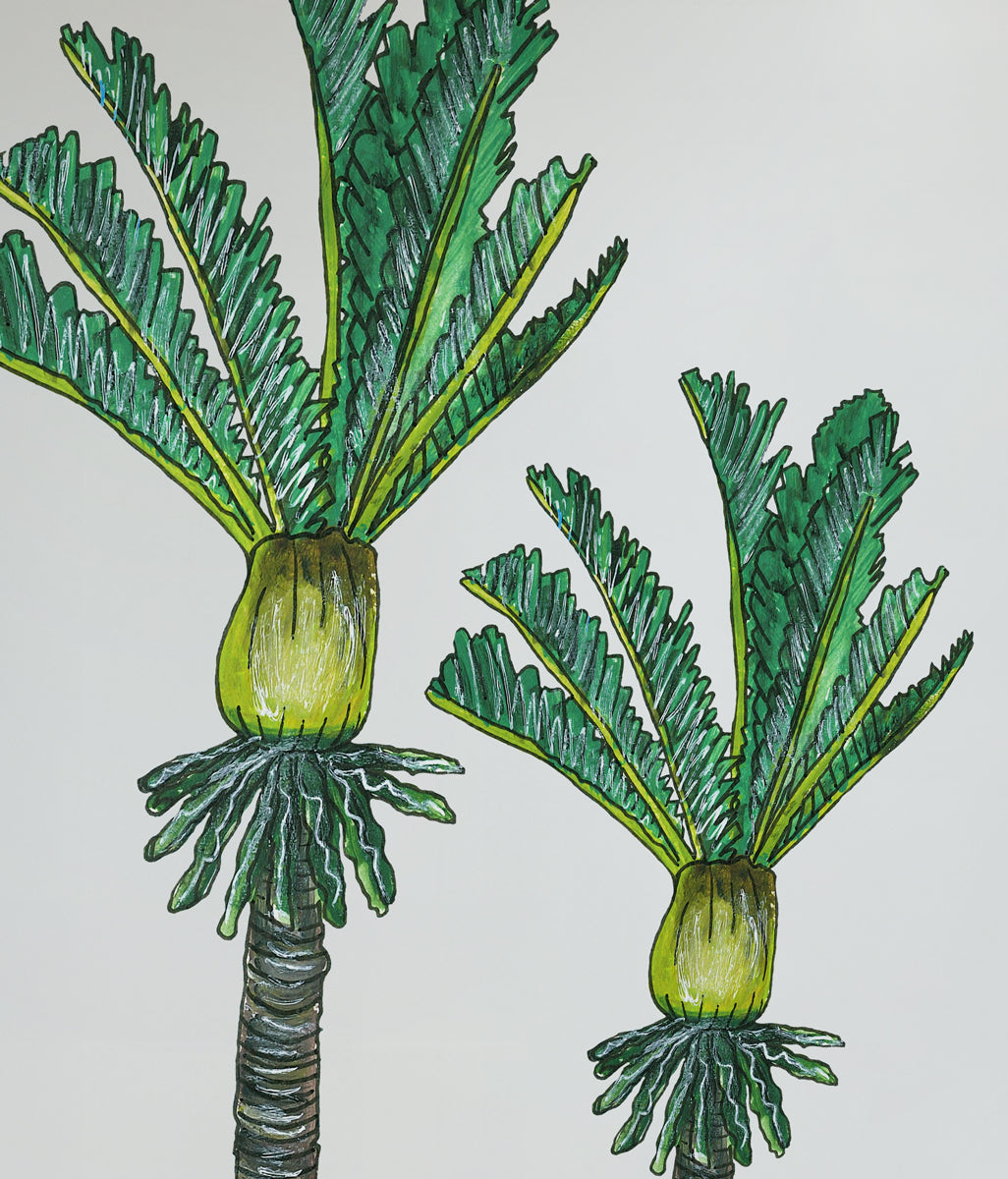 Nikau Trees with Pukeko