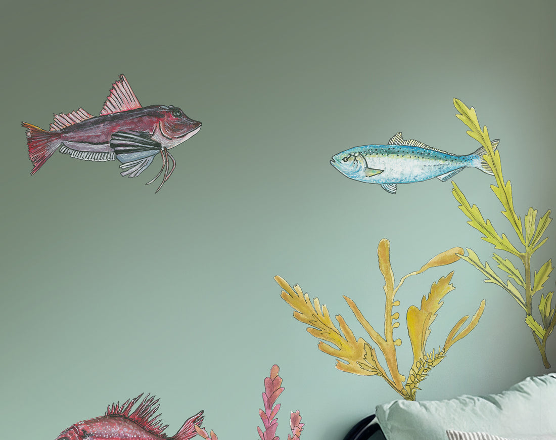 NZ Seaweed and Native Fish