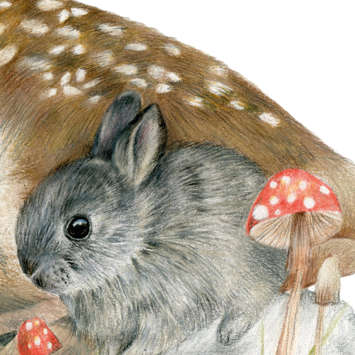 Bambi by Olivia Bezett, original artwork detail showing the grey rabbit and red mushrooms.