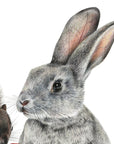 Bunny & Friends by Olivia Bezett, original artwork detail showing the grey rabbit’s face and upright ears.