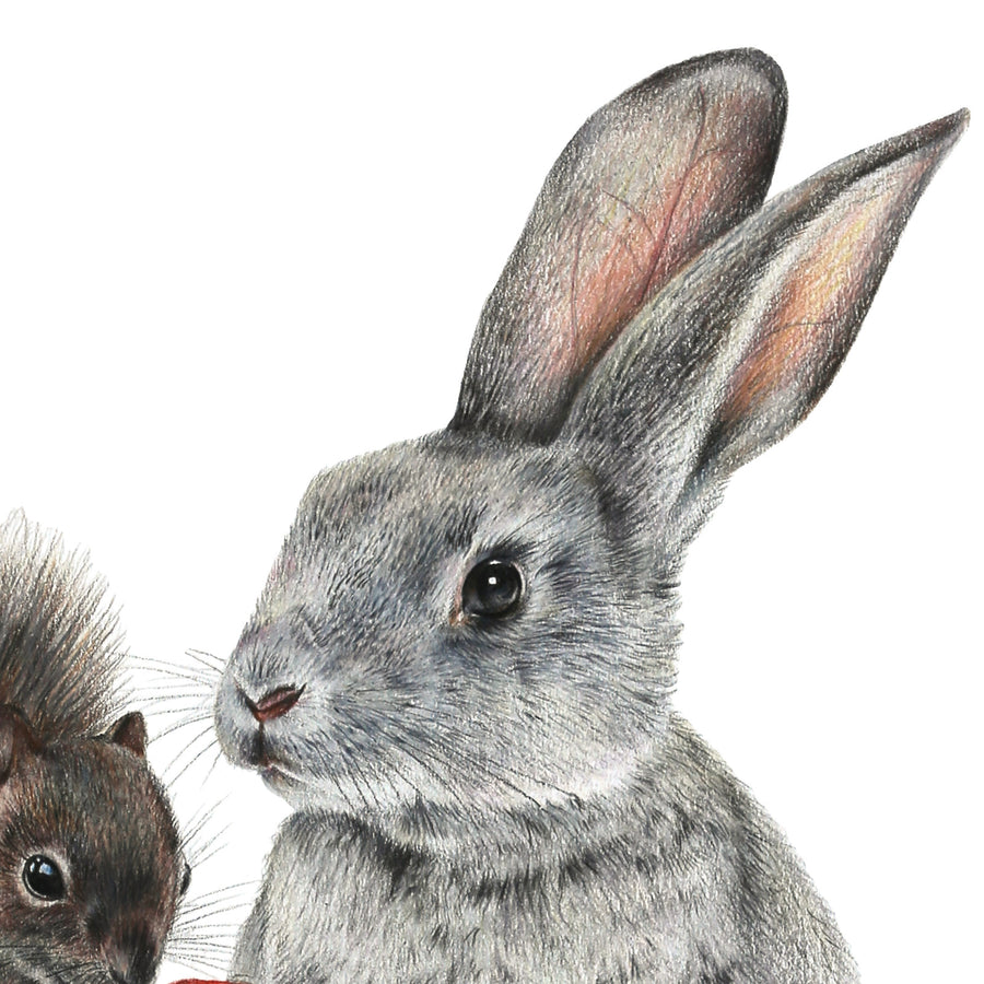 Bunny & Friends by Olivia Bezett, original artwork detail showing the grey rabbit’s face and upright ears.