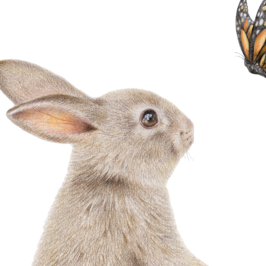 Bunny and Butterfly by Olivia Bezett, original artwork detail showing the rabbit looking towards the butterfly.