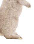 Bunny and Butterfly by Olivia Bezett, original artwork detail showing the standing rabbit’s body and feet.