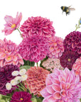 Dahlia Bouquet by Olivia Bezett, original artwork detail showing the pink and plum flowers with bees.