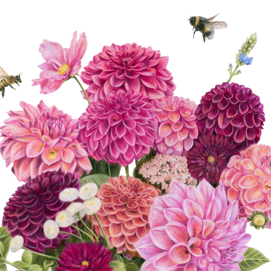 Dahlia Bouquet by Olivia Bezett, original artwork detail showing the pink and plum flowers with bees.