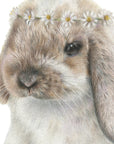 Daisy Bunny by Olivia Bezett, original artwork detail showing the rabbit’s face and daisy crown.