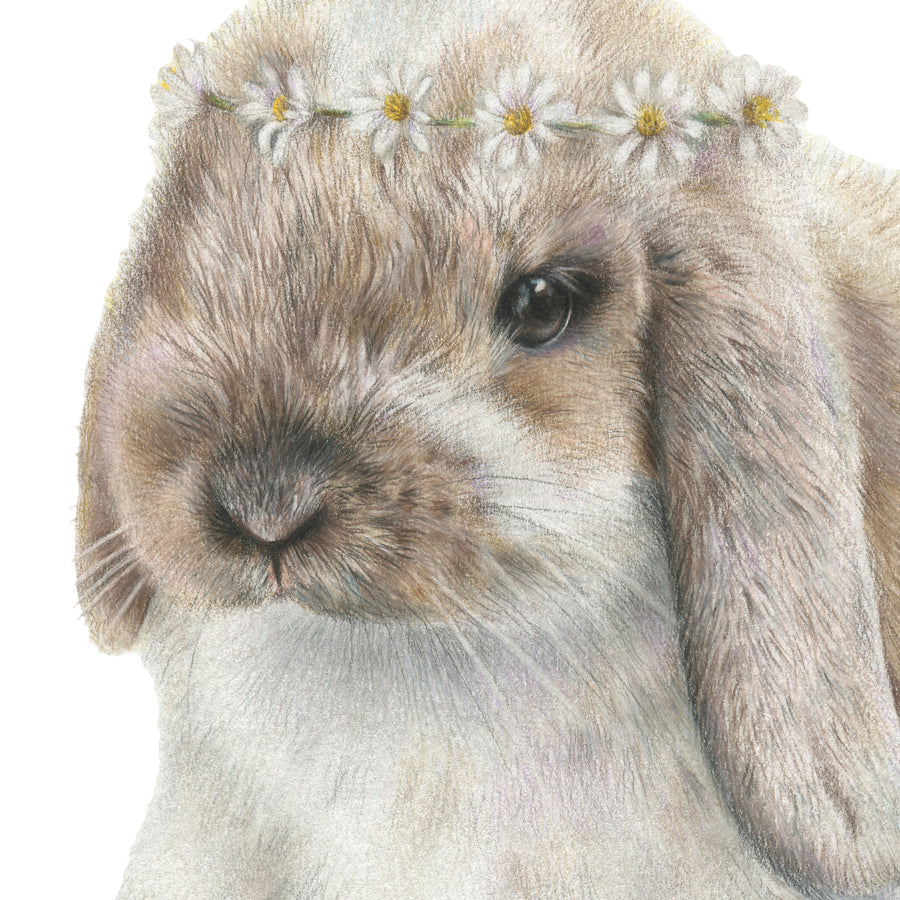 Daisy Bunny by Olivia Bezett, original artwork detail showing the rabbit’s face and daisy crown.