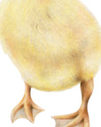 Duckling by Olivia Bezett, original artwork detail showing the duckling’s yellow body and orange feet.