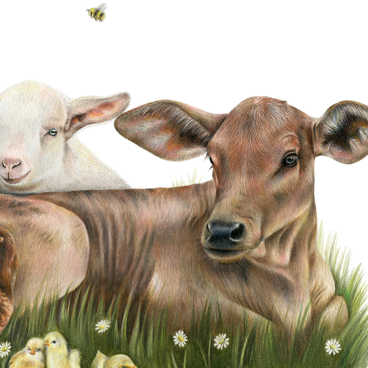 Farm Friends by Olivia Bezett, original artwork detail showing the calf and neighbouring farm animals.