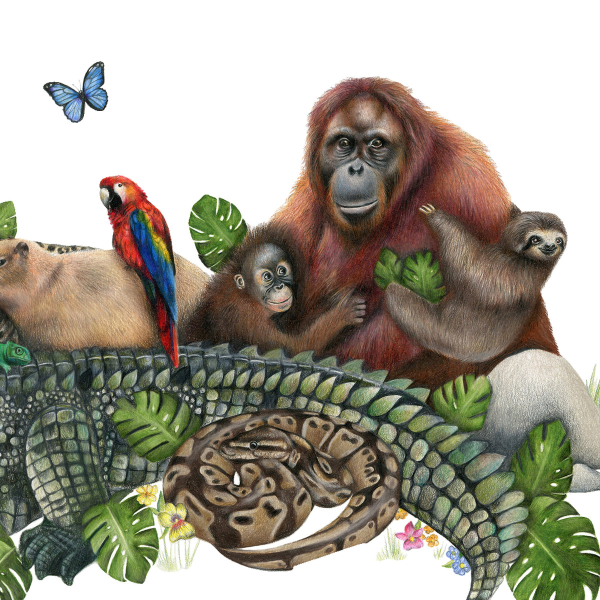 Jungle Friends by Olivia Bezett, original artwork detail showing the orangutans, macaw and coiled snake.