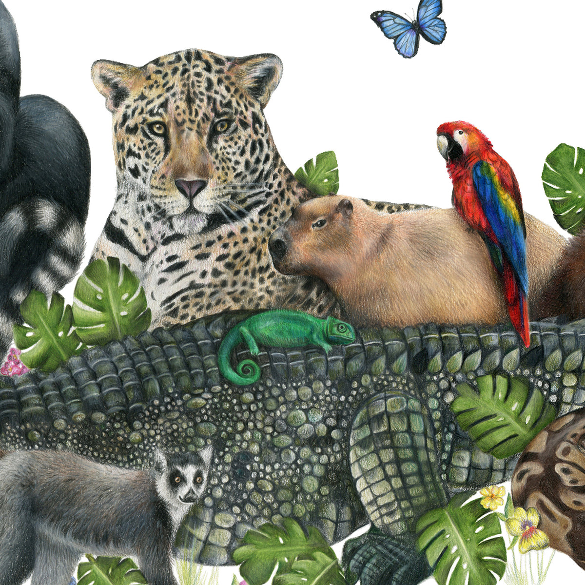 Jungle Friends by Olivia Bezett, original artwork detail showing the spotted big cat, capybara and macaw.