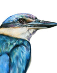 Kōtare by Olivia Bezett, original artwork detail showing the kingfisher’s eye, beak and blue head.
