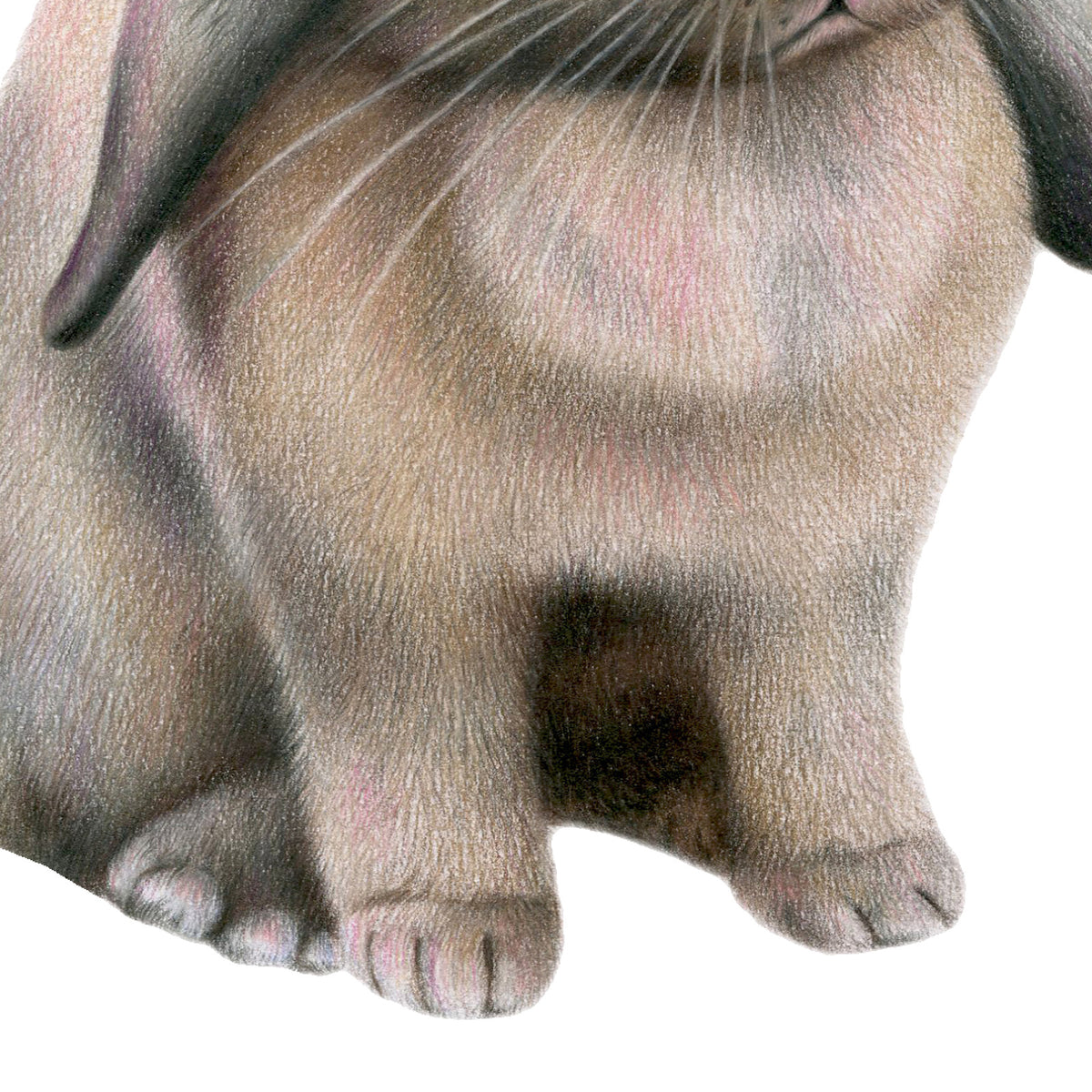 Rabbit with Flower Hat by Olivia Bezett, original artwork detail showing the rabbit’s chest, ears and front paws.