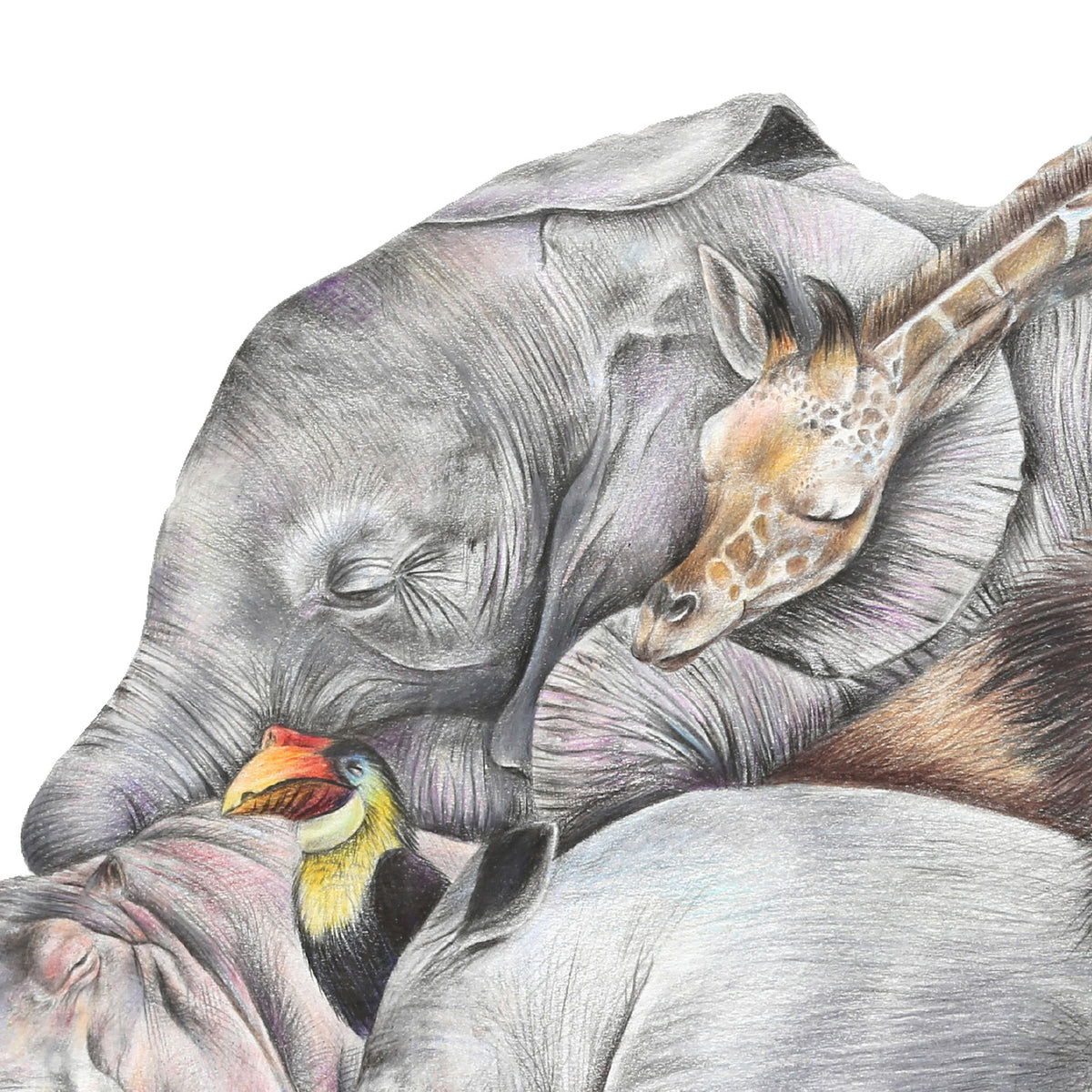 Safari Sleepers by Olivia Bezett, original artwork detail showing the sleeping elephant and giraffe.
