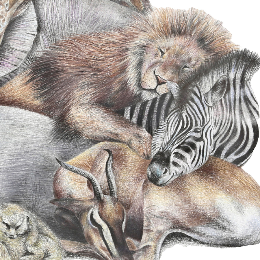 Safari Sleepers by Olivia Bezett, original artwork detail showing the lion, zebra and neighbouring animals.