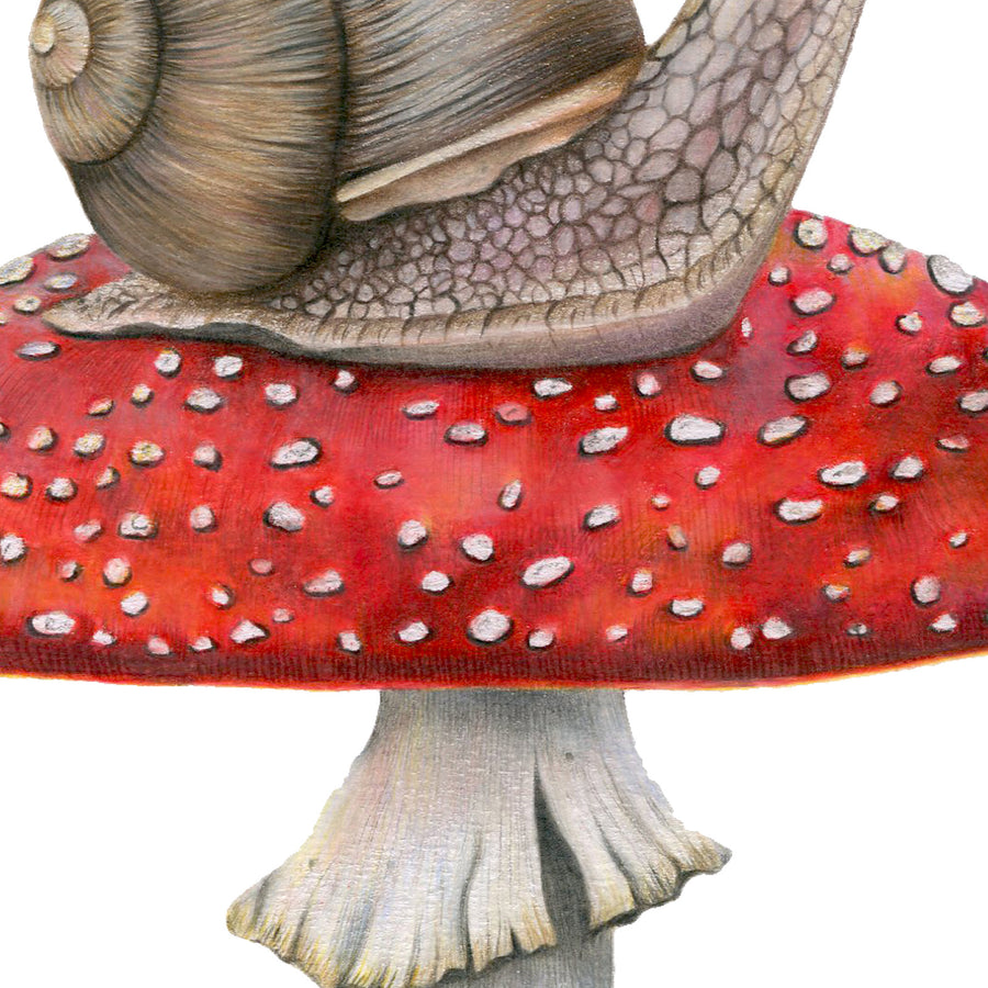 Snail on Mushroom by Olivia Bezett, original artwork detail showing the snail on the red, white-speckled mushroom.