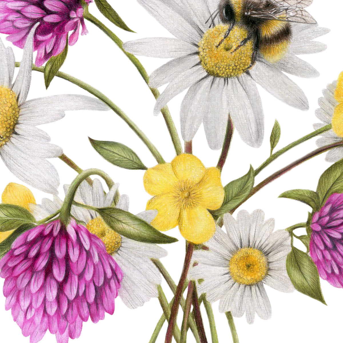 Wildflower Bees by Olivia Bezett, original artwork detail showing the white daisies, purple flowers and bees.