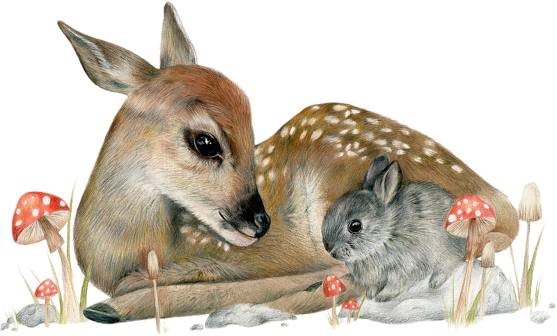 Bambi