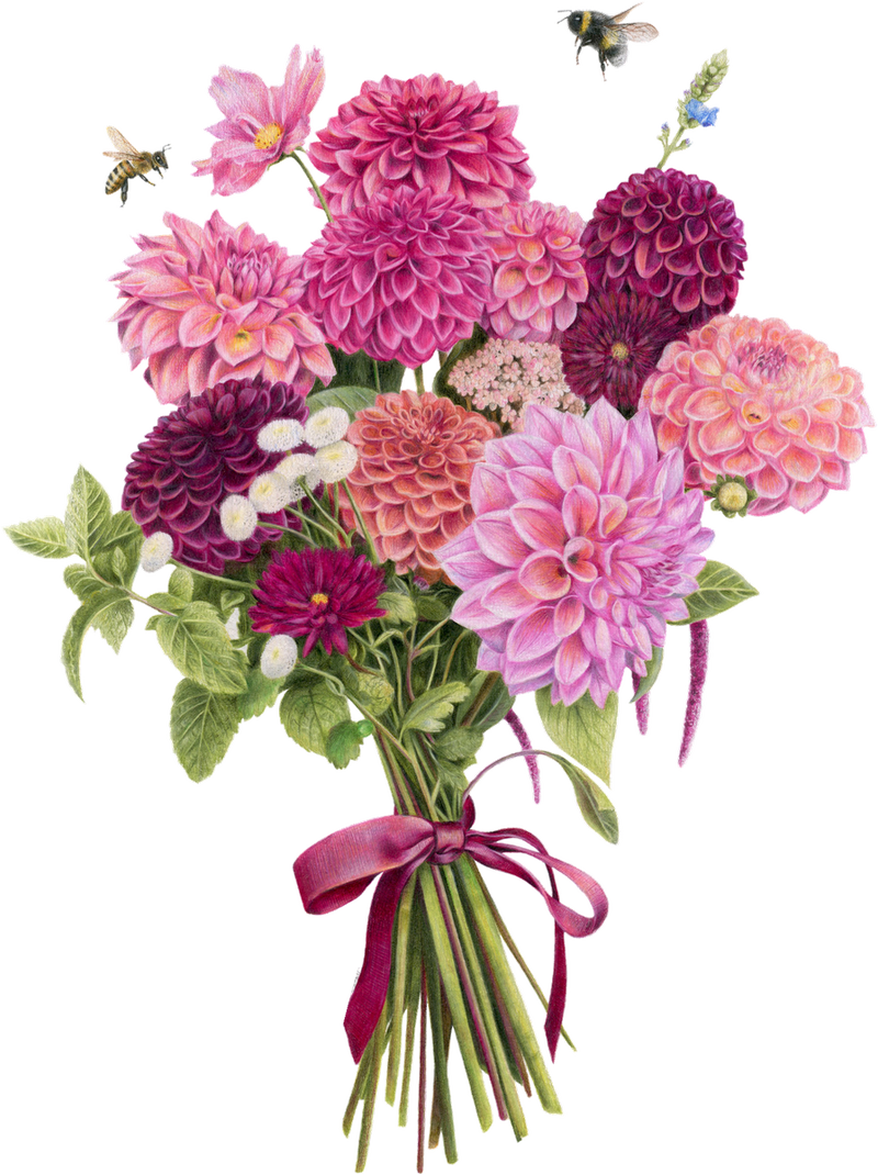 Dahlia Bouquet
