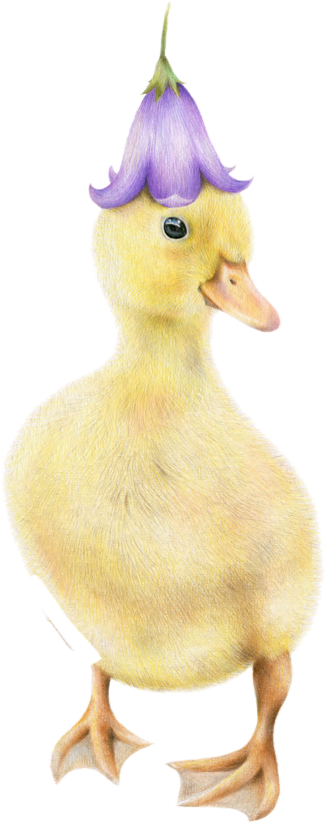Duckling