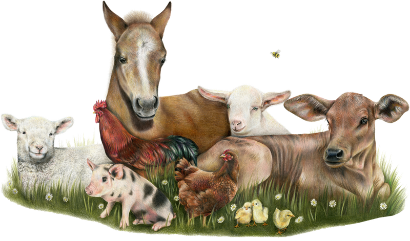Farm Friends