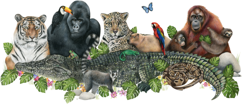 Jungle Friends
