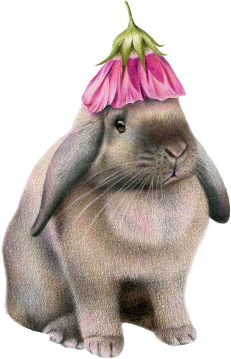 Rabbit with Flower Hat