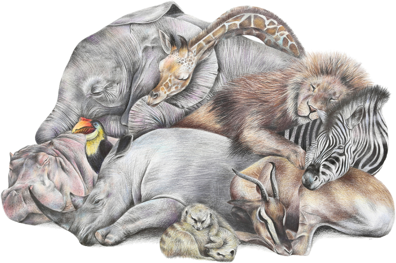 Safari Sleepers