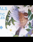 Animal Parade - Brown