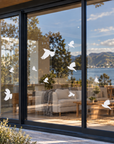 Window Strike Flying Tui Decals