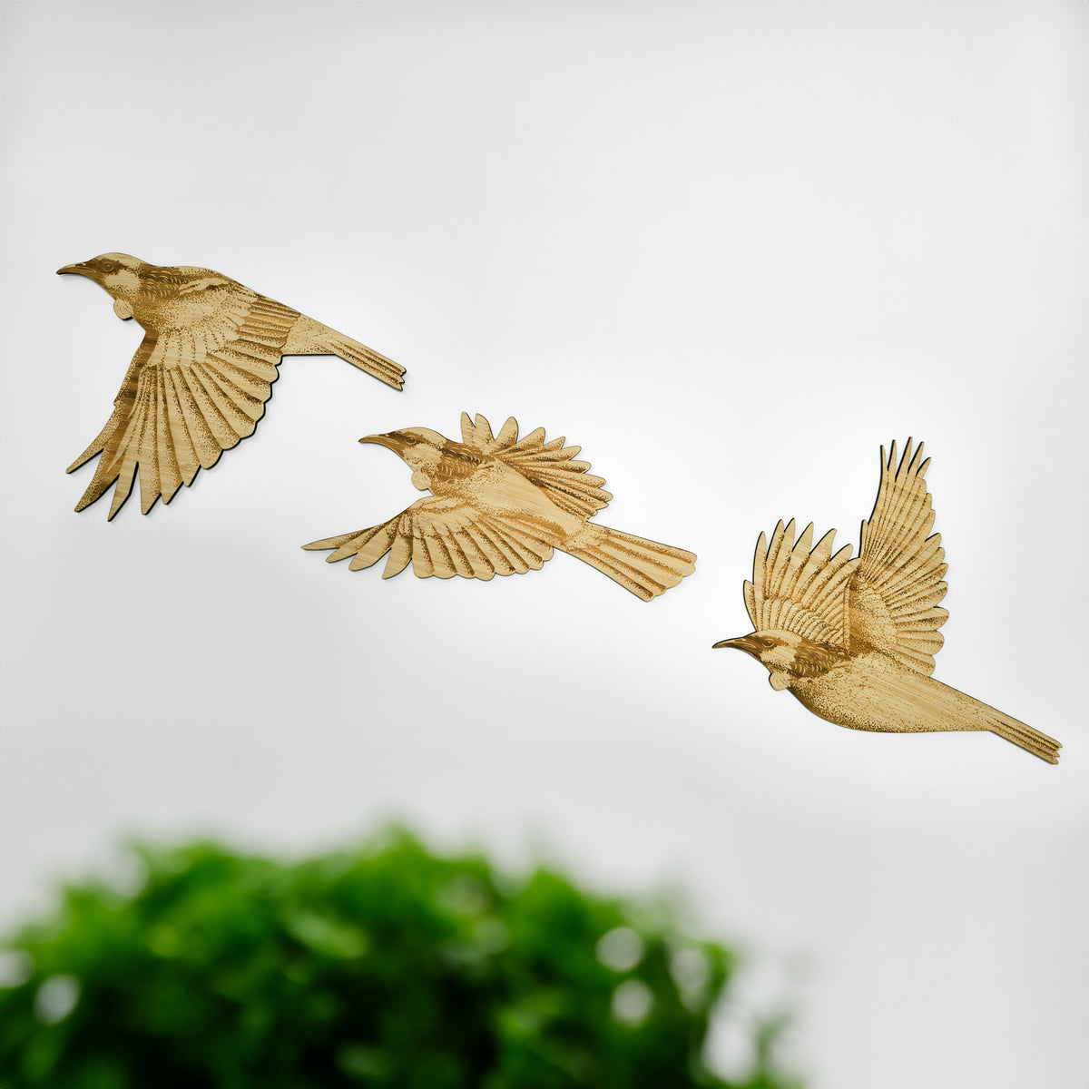 Wooden Flying Tuis in Carbonised bamboo, room view 1