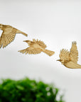 Wooden Flying Tuis