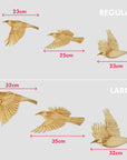 Wooden Flying Tuis
