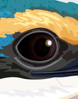 Artwork detail: extreme close-up of the kōtare eye and surrounding feathers