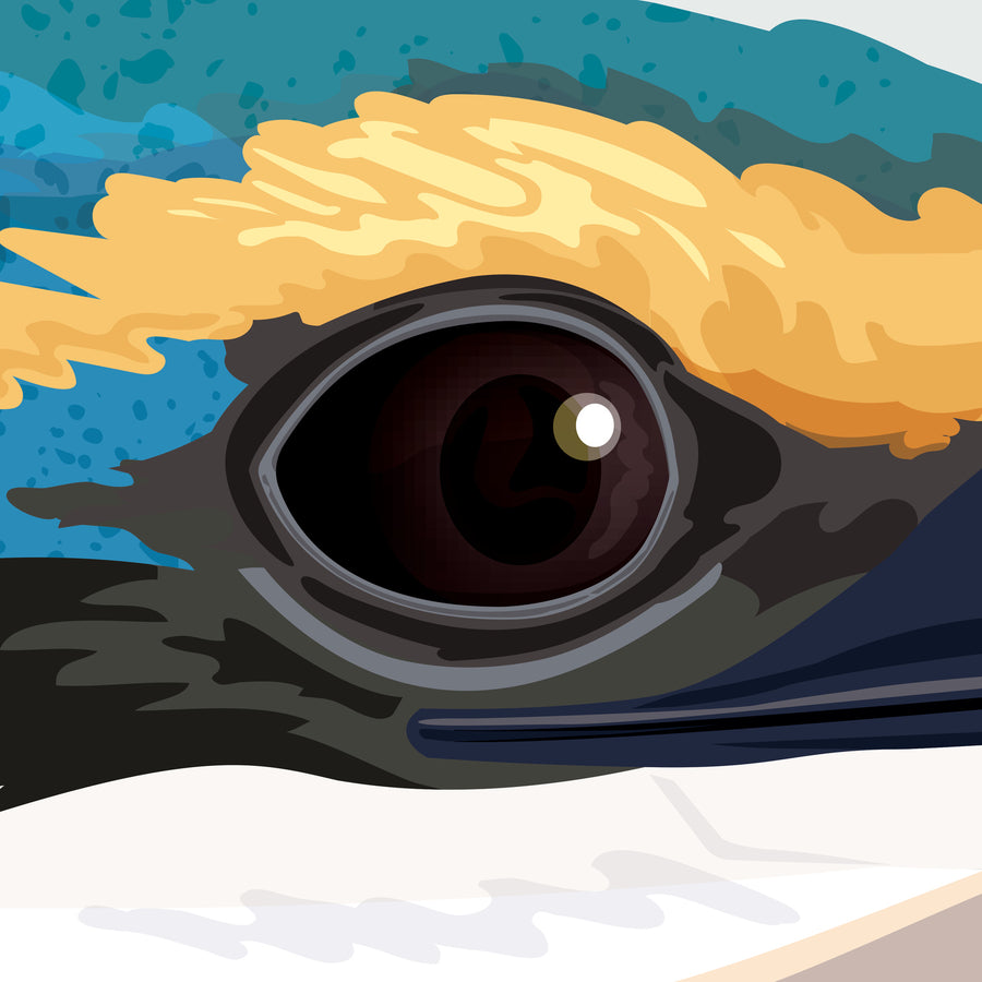Artwork detail: extreme close-up of the kōtare eye and surrounding feathers