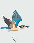 Straight-on detail of the kōtare illustration
