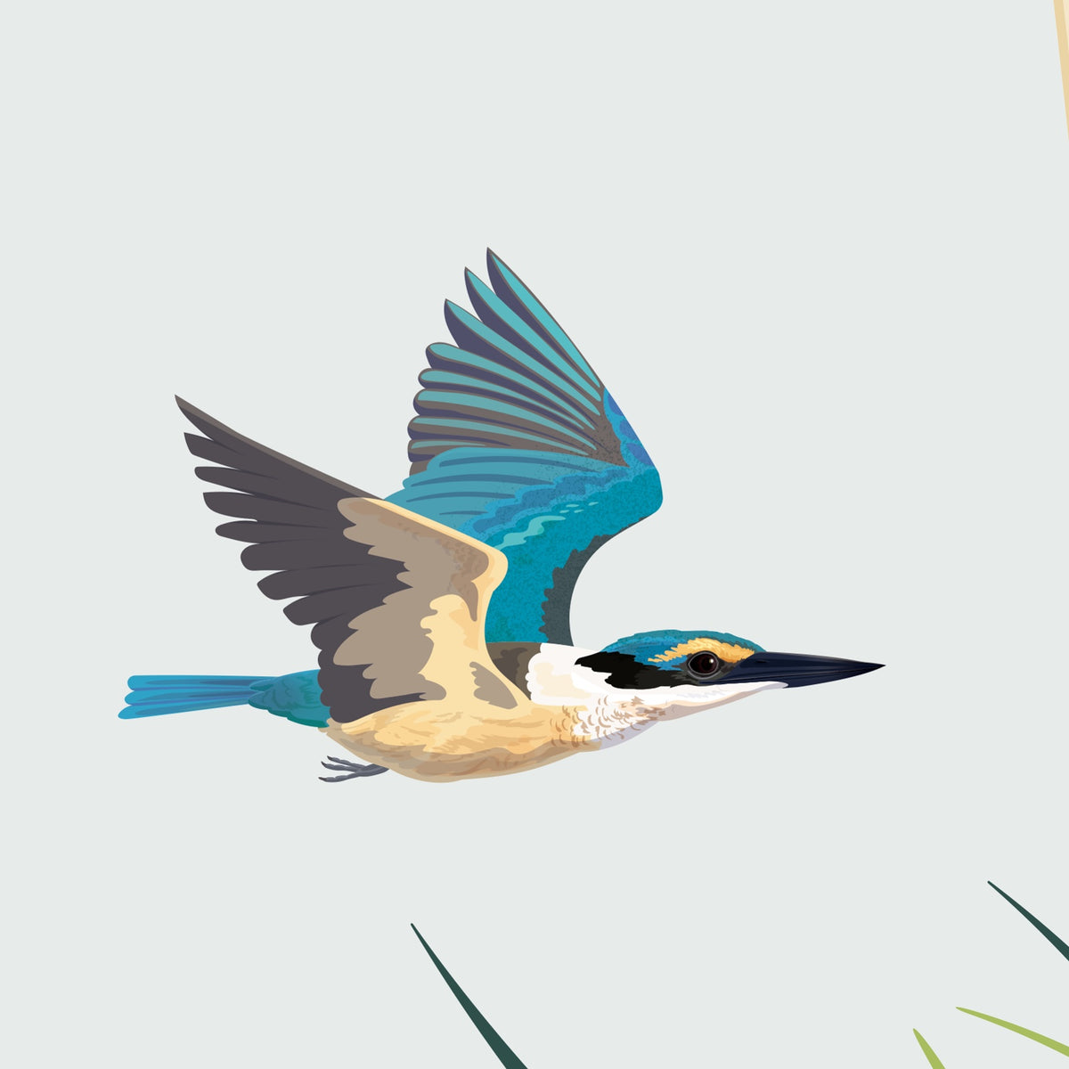 Straight-on detail of the kōtare illustration