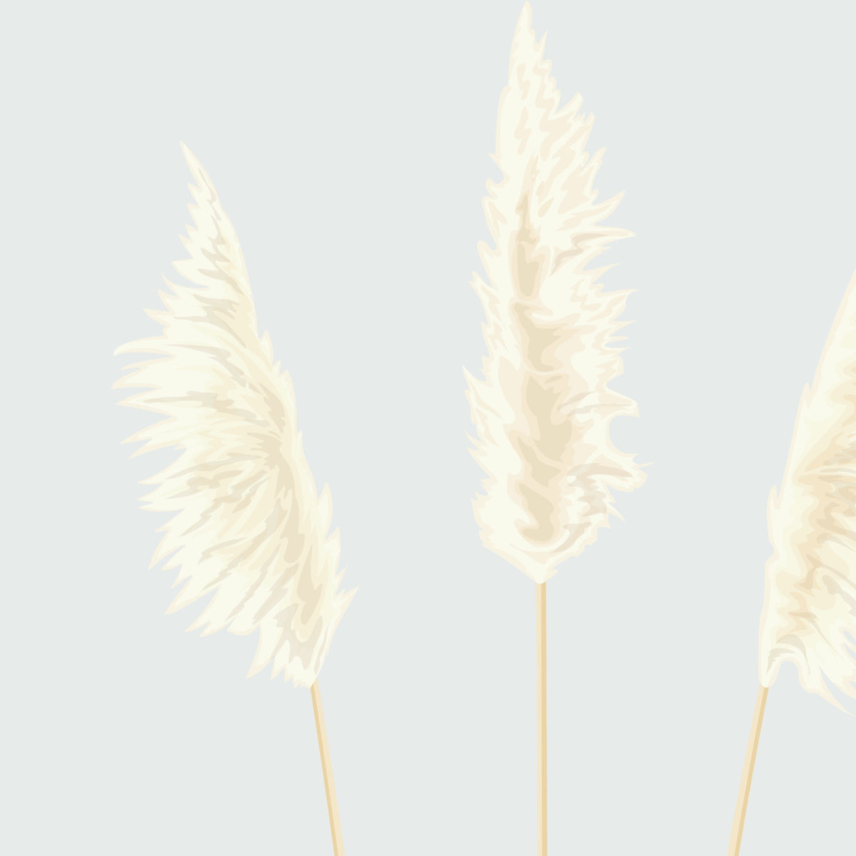 Straight-on detail of the toetoe plumes