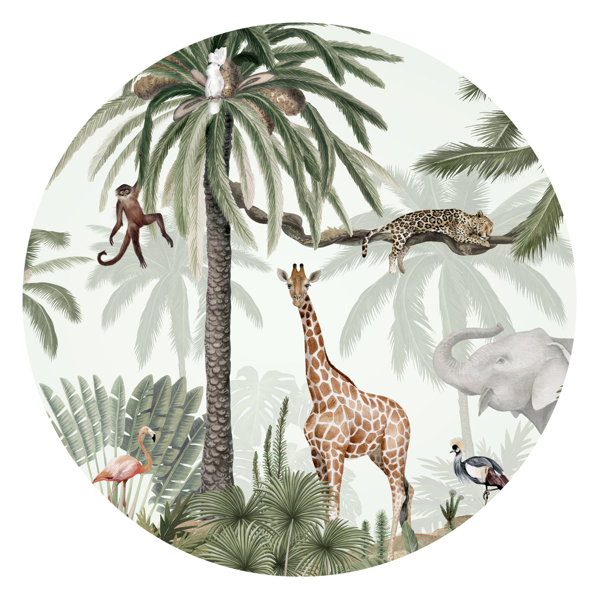 Tropical Jive Dot