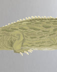 Artwork detail visualisation – Tuatara – crest scales
