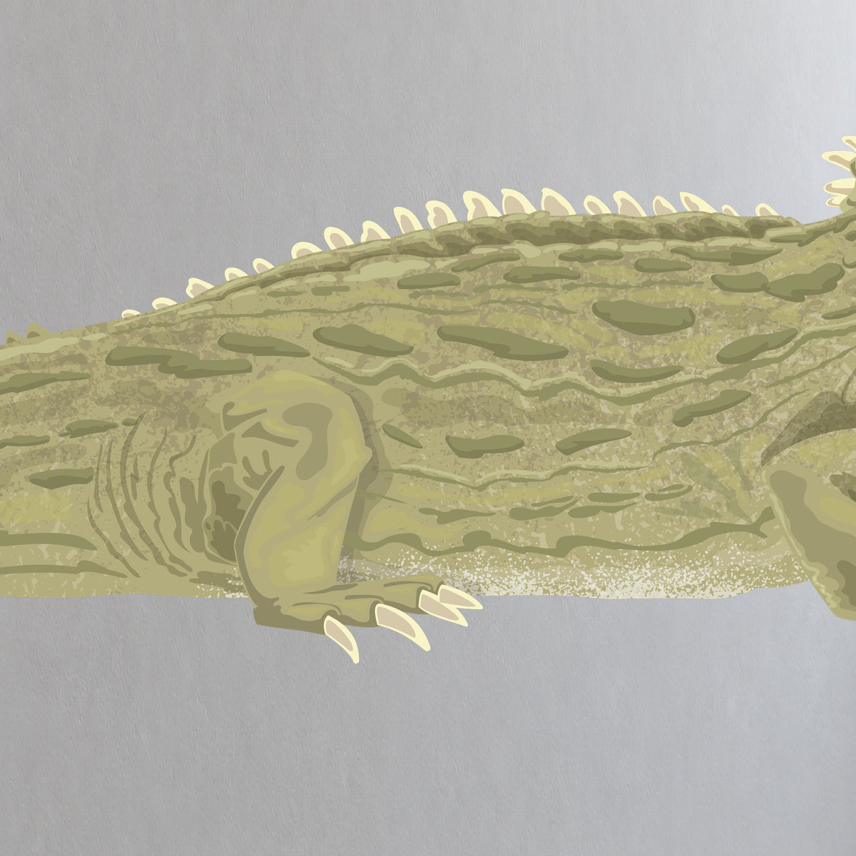 Artwork detail visualisation – Tuatara – crest scales