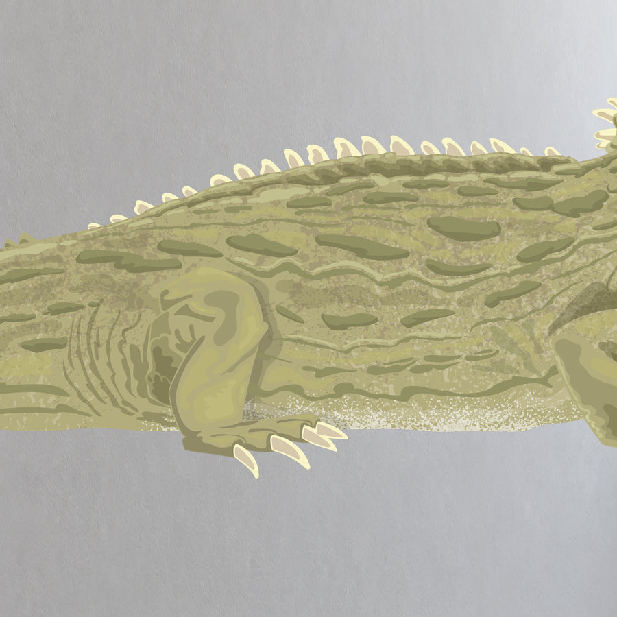 Artwork detail visualisation – Tuatara – crest scales