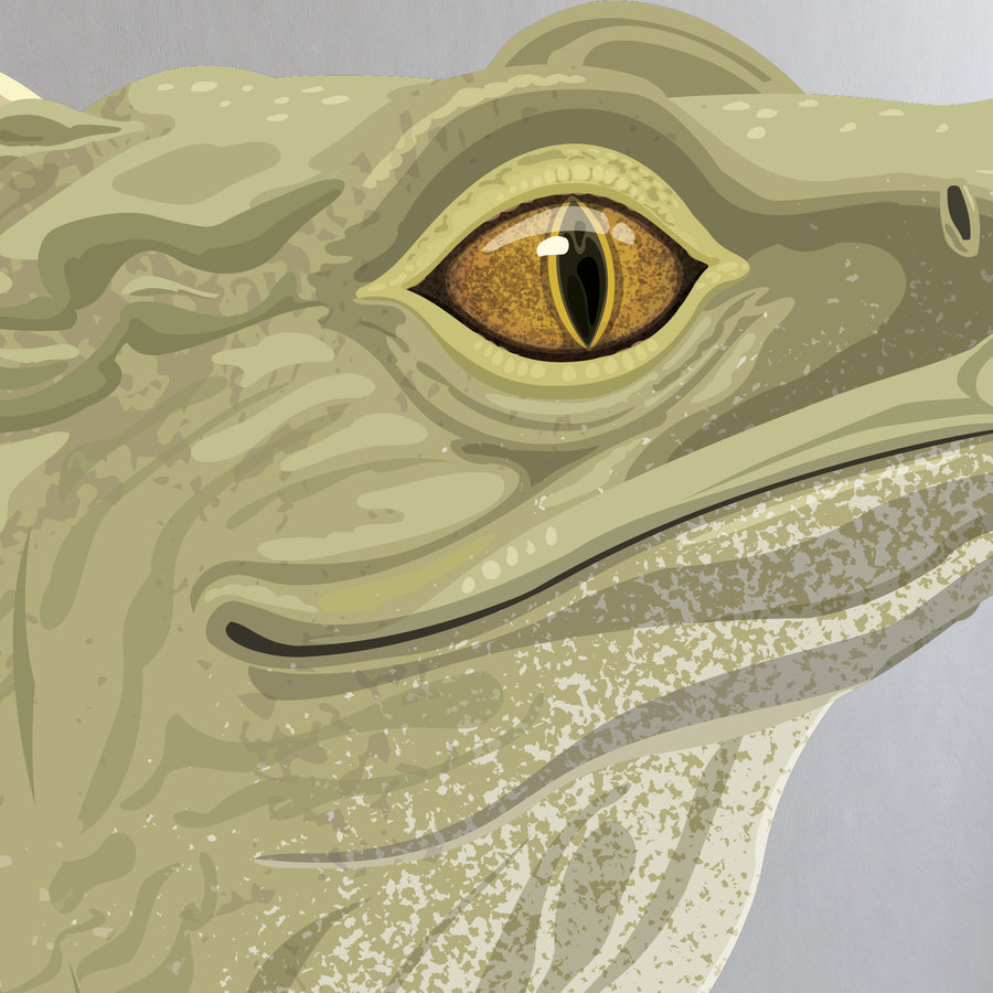 Artwork detail visualisation – Tuatara – extreme eye scales
